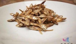 吃瓜网小鱼干,揭秘娱乐圈幕后故事